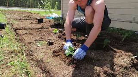 Creating a Bean Patch!