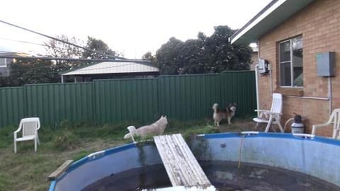 Mobile phone returned to its owner