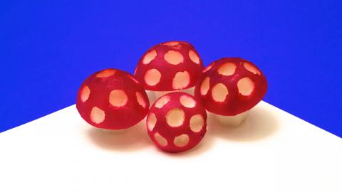 How to Carve a Mushroom in a Radish