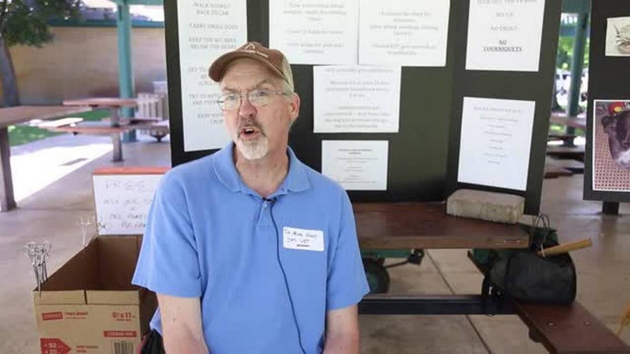 What to do if your dog gets bit by a rattlesnake on CA hike