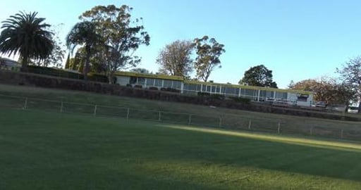 Malamute & Husky want to play rugby