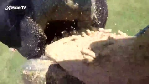 Visiting the Lazy 5 Ranch in Charlotte North Carolina, US...