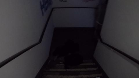 Exploring secret underground rooms! 