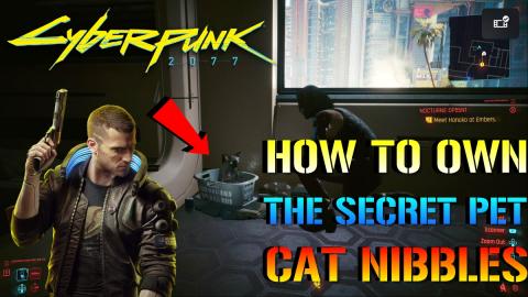 Cyberpunk 2077: How To Own The Secret PET CAT "Nibbles" (...