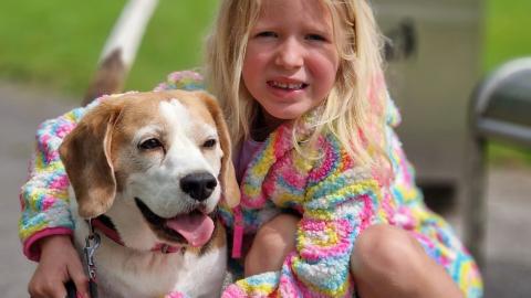 Why Dogs Are Better Than Children 