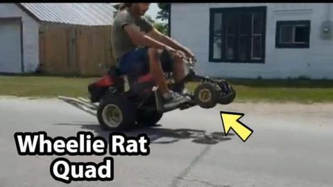 Wheelie Rat Quad