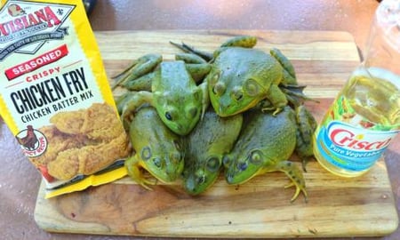 Catch n' Cook Green Bullfrogs! (Part 1)