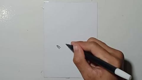 DRAW GRAFITY RICH BEAR