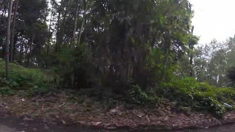 How Many Hairpin Bends We Took ? Darjeeling | West Bengal...