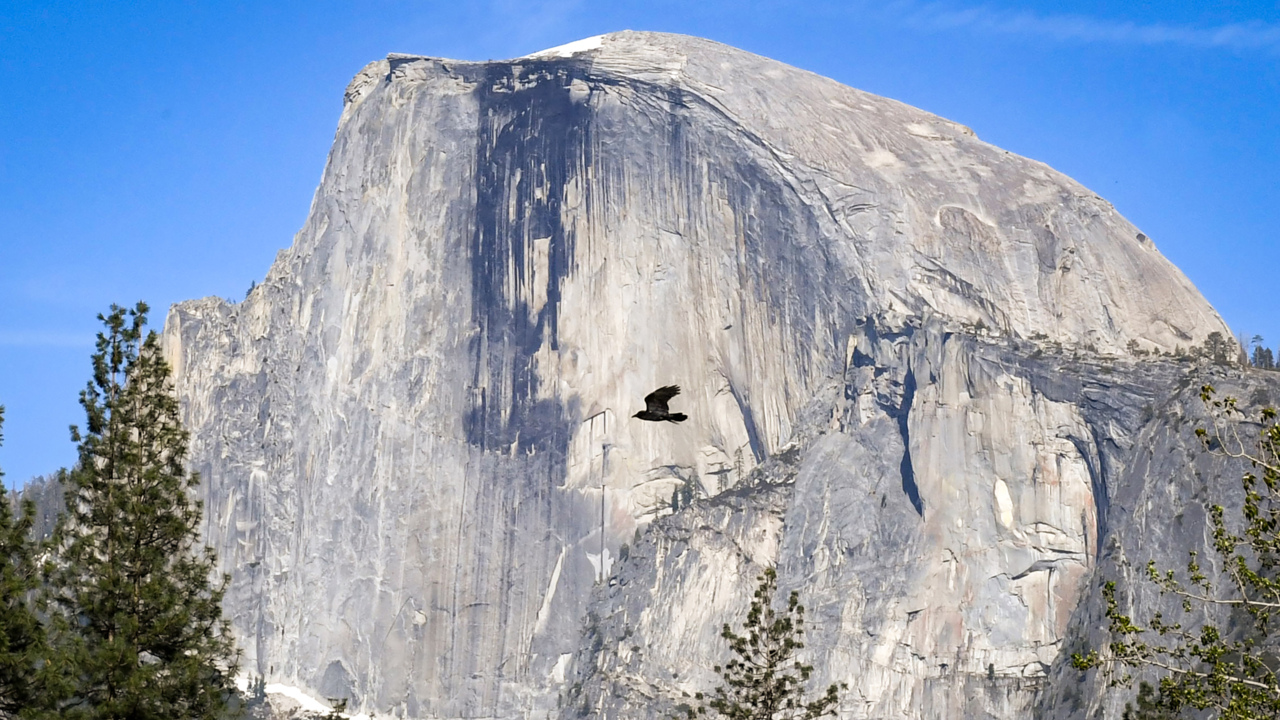 When do you need reservations to enter Yosemite National Park? Fresno Bee