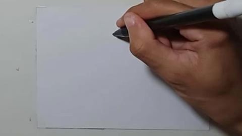 Drawing cartoon raccoon