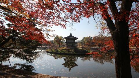 Why You NEED To Visit Seoul in Autumn - South Korea Vlog