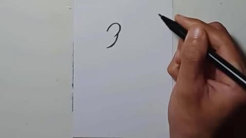 Drawing Graffity Character cartoon pig1 shorts