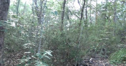 Found a park just off our street, we went to check it out...