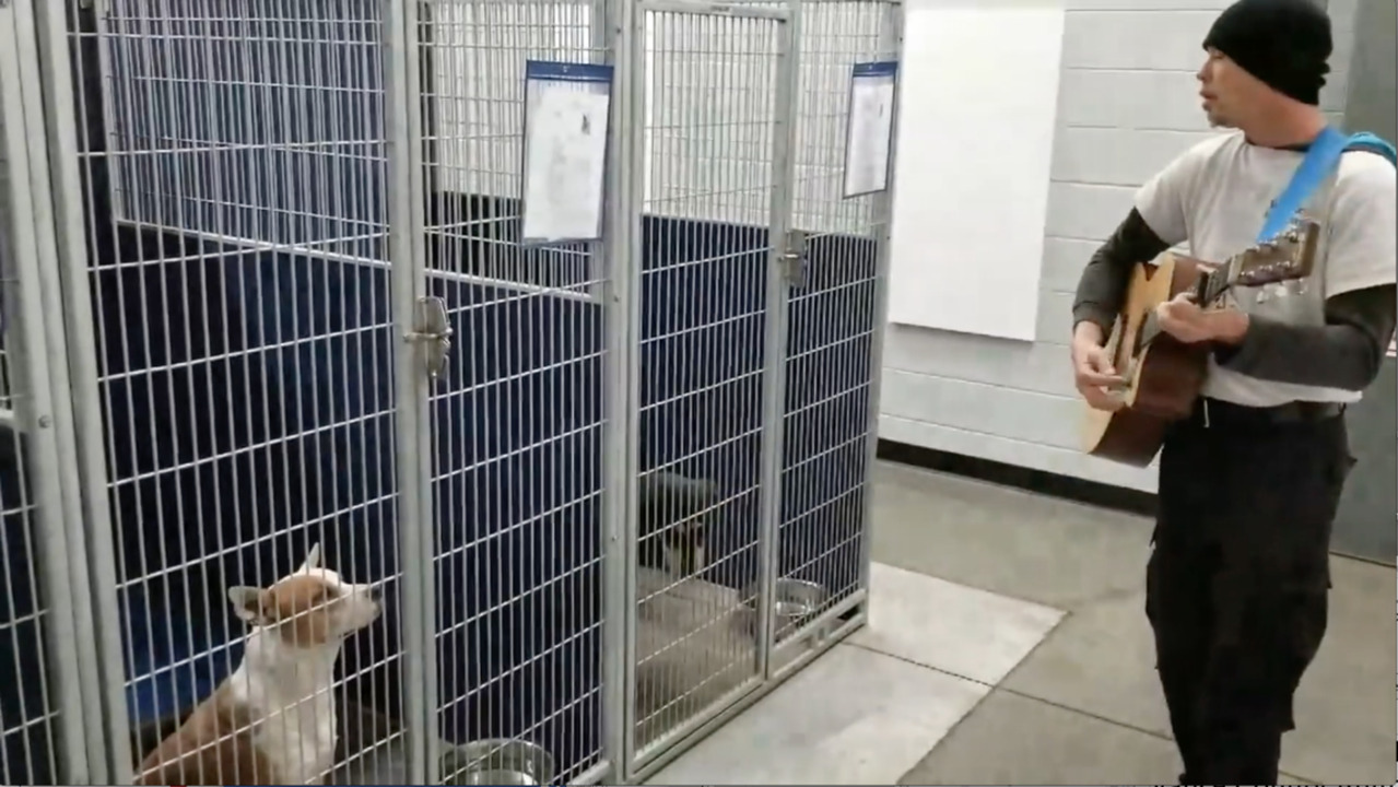 A soothing serenade for the dogs at the Vance County Animal Shelter