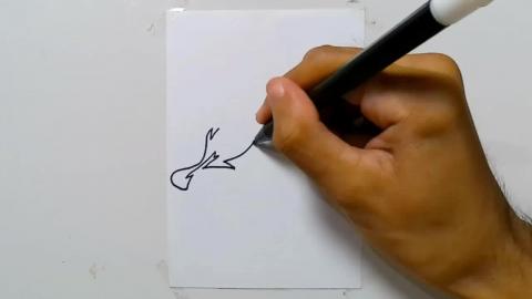 Drawing tatto v26 2024 shorts