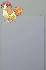 Drawing Pokemon PIDGEOTTO