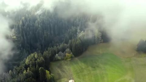 If you're looking for a refresher on why nature is amazin...