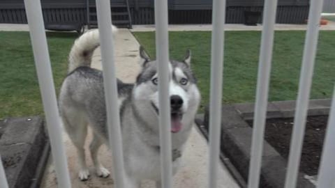 Visit to Husky Mack first up in the morning