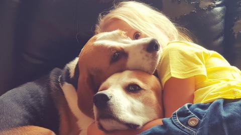 What Life of Child Growing with Dogs Looks Like