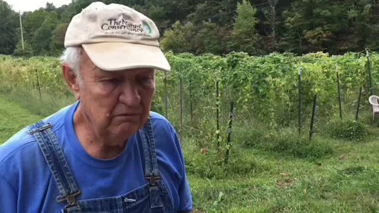 Berea farmer believes heirloom seeds can help make mountain farms