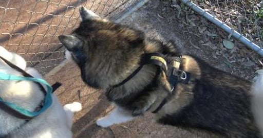 Let loose at the park & how we travel safe at the end