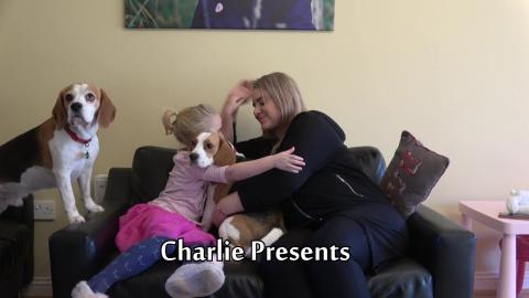 My Dogs Reaction When We Hugging Them Too Long