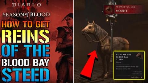 Diablo 4: "Reins Of The Buckskin Bay Steed" Mount! How To...