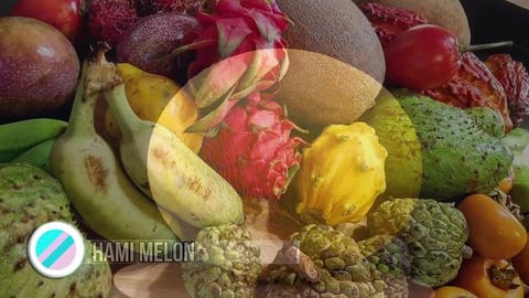 Hami Melon | Fruits You've Never Heard Of