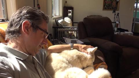 Husky accepts advice from Dr Tonka and Nurse Monroe