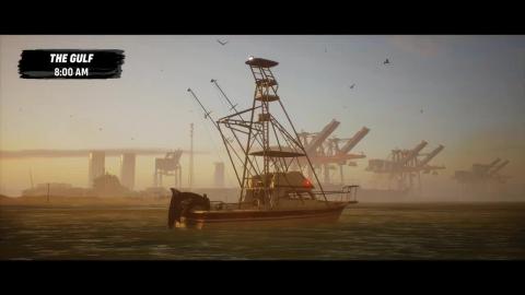 Shark Attacks Witnessed!