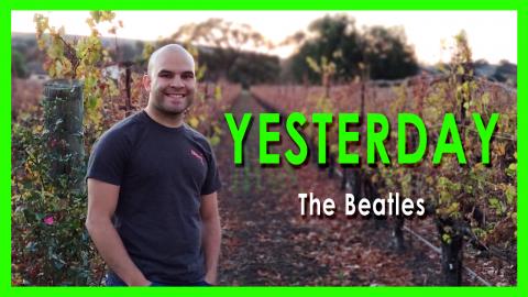 YESTERDAY - The Beatles | (COVER) - Luis Herrera