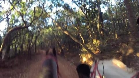 Exploring Matheran View Points on Horseback