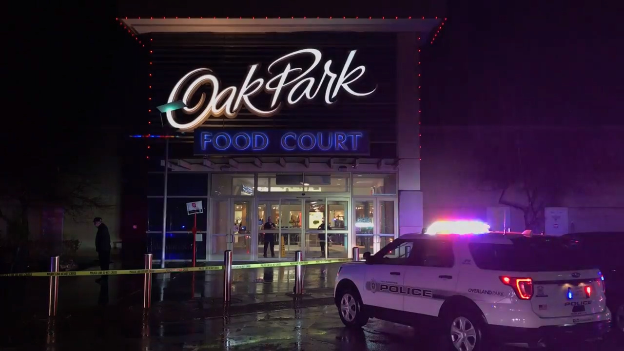 Oak Park Mall terror: Father, son witness shooting 