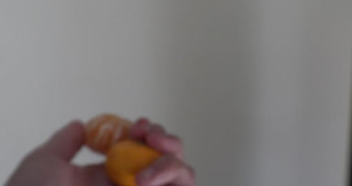 First crop of mandarines & loose Guinea Pigs