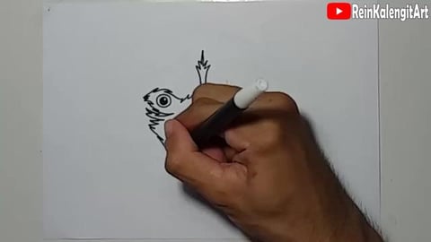 Drawing Graffiti BEAR character