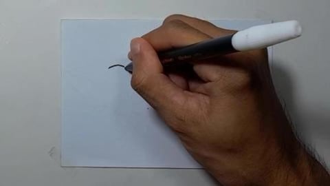 Drawing graffiti great-white-shark-mascot