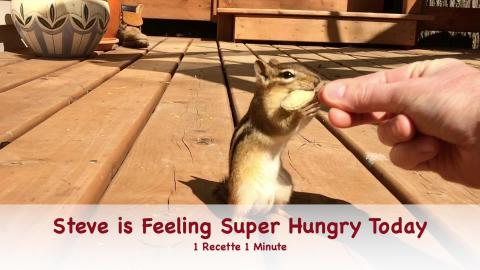 Steve the Chipmunk is Feeling Super Hungry Today (shorts)...