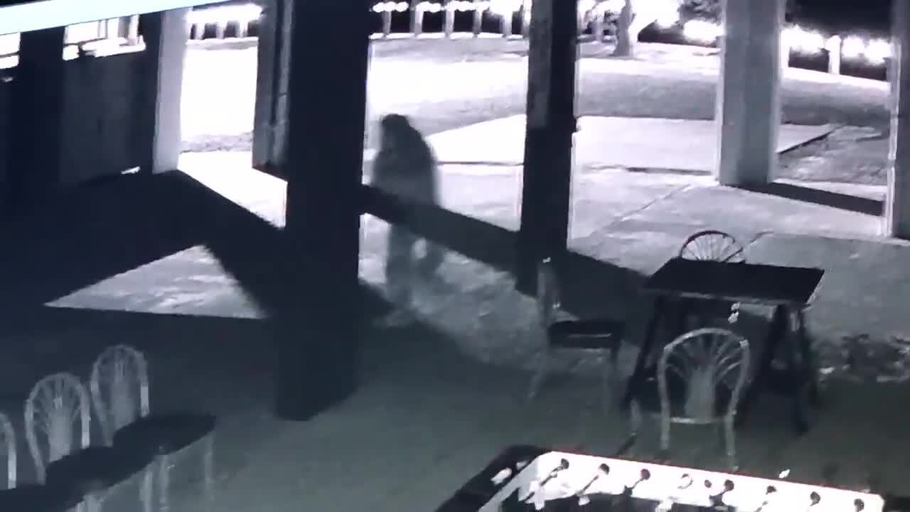 Surveillance footage shows theft at Jourdan River Steamer Biloxi Sun