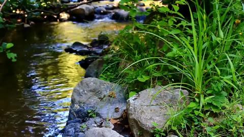 15 mintute meditation music  relaxing, calming music  med...