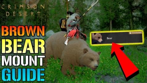 Crimson Desert: EASY Brown "Bear" Mount Guide! How To Get...