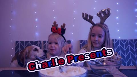 Santa Hold On - Cute Dogs Help With Christmas Preparation...