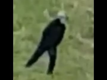 SCARY Man Dressed In BLACK At Abandoned BUILDING STORY!