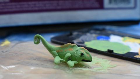 Mini Monday , little Lizard