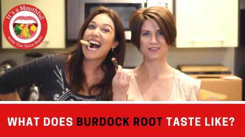 What does BURDOCK ROOT taste like?
