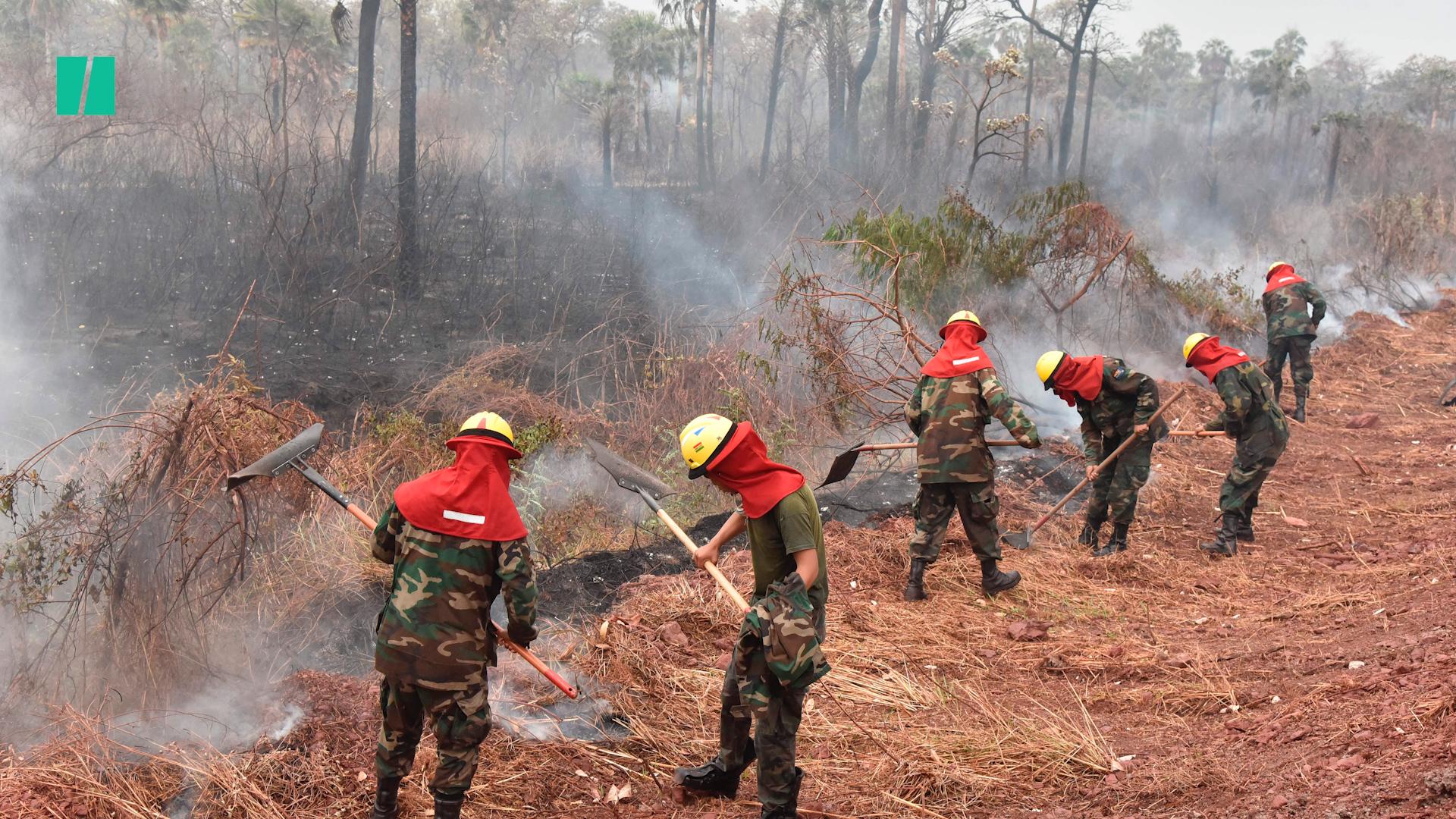 Brazil 2025 fires hoax