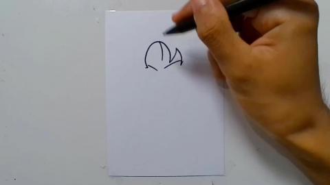 DRAW videl Dragon Ballz shorts