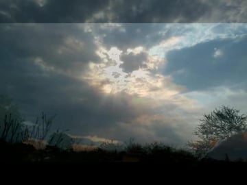 Nature 1