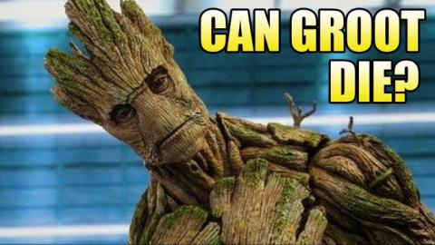 Can Groot Die?