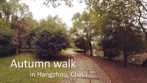 Walk through a suburban forest in Hangzhou, China (VR one...